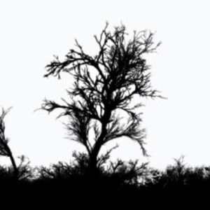 Meet your Posher, Montana